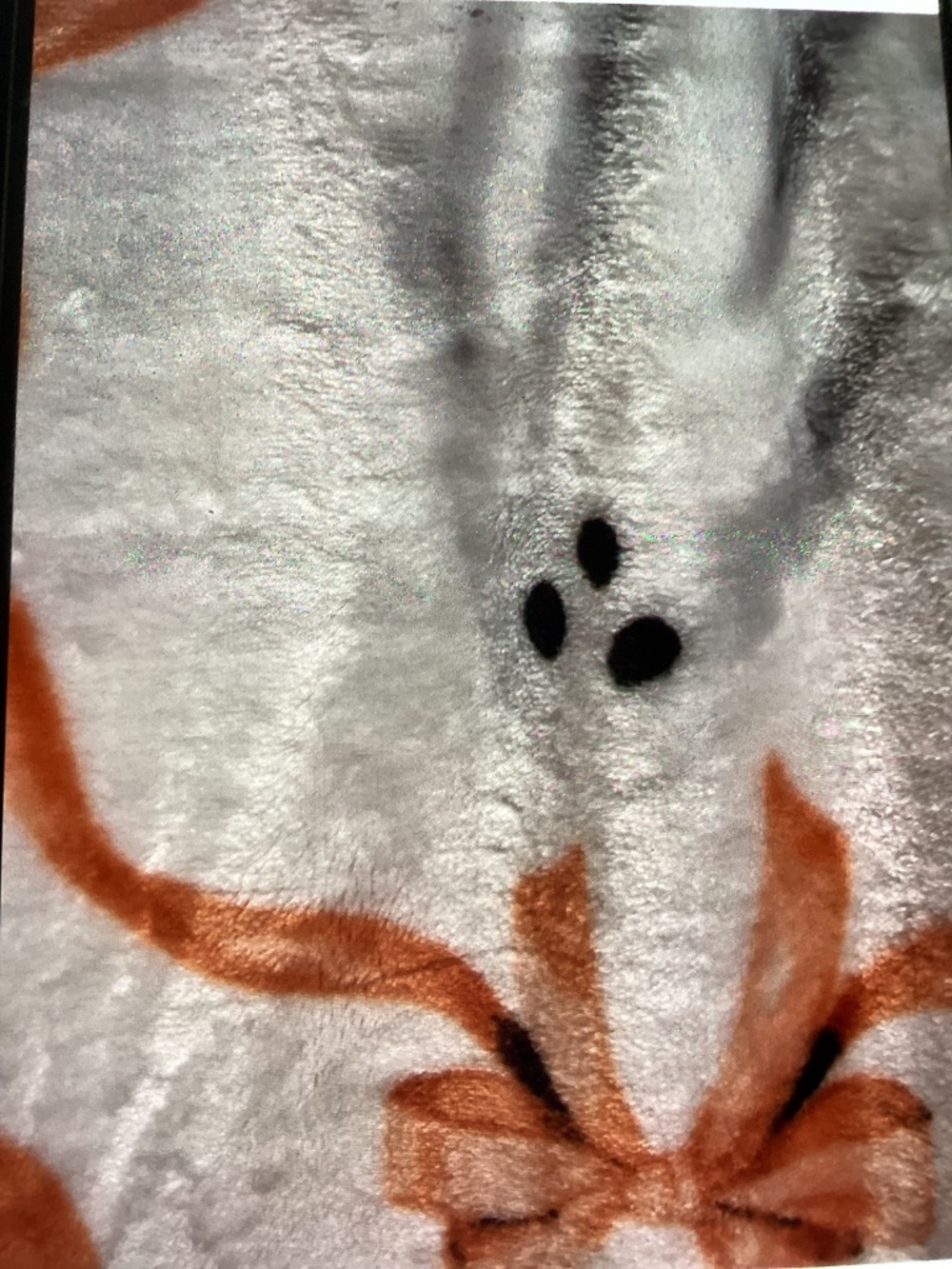 New Simply Lux Living Halloween Throw - black cats, bats, ghosts - Picture 3 of 6